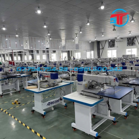 CHO THUÊ MÁY MAY | MÁY MAY CÔNG NGHIỆP TUẤN TÚ 